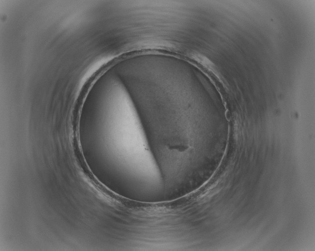 X0000068891024200605122028