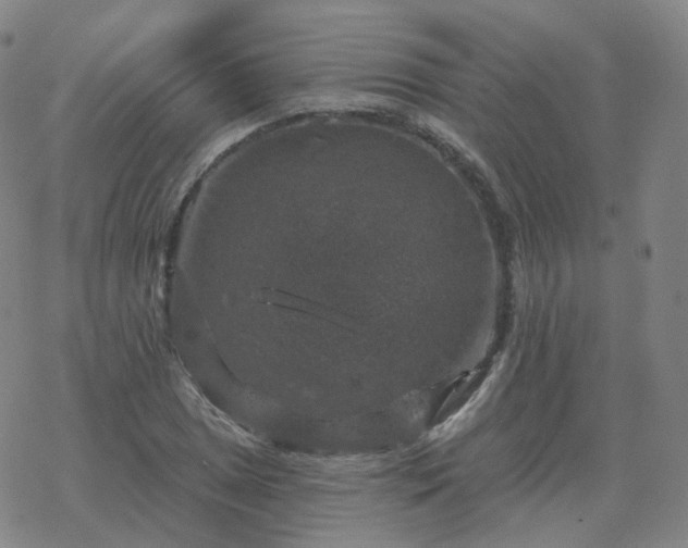 X0000068891025200605122028