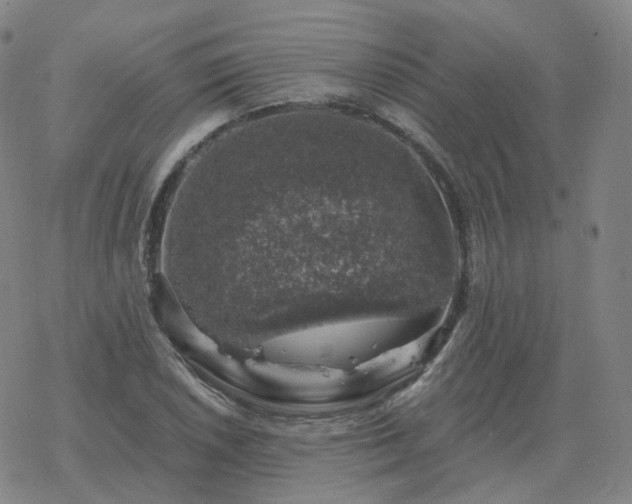 X0000068891026200605122028