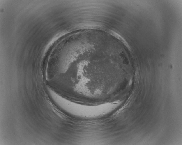 X0000068891027200605122028