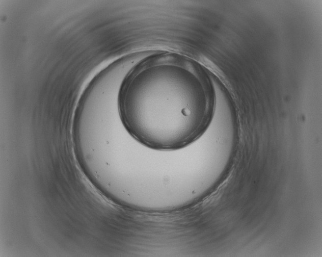 X0000068891028200605122028