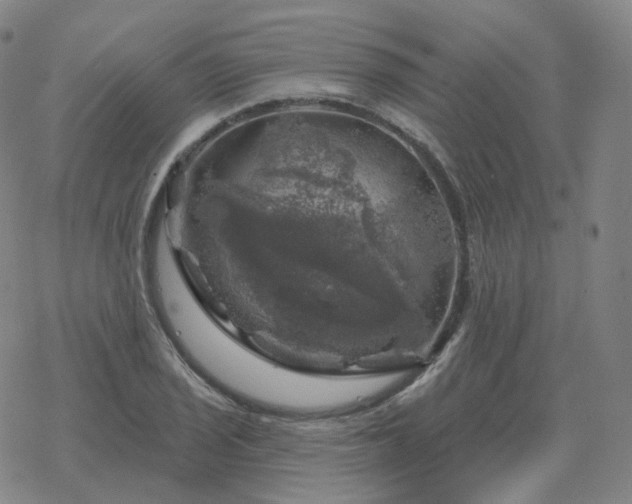 X0000068891029200605122028