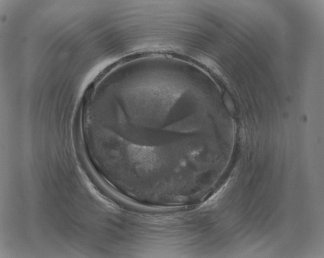 X0000068891030200605122028