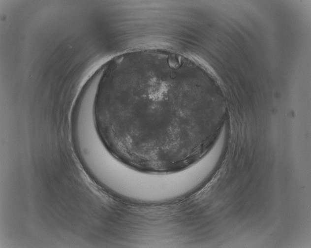 X0000068891031200605122028