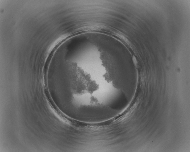 X0000068891034200605122028