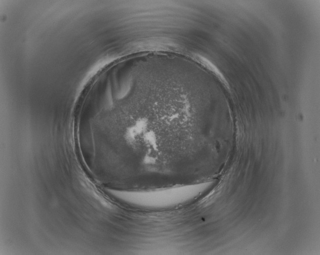 X0000068891035200605122028