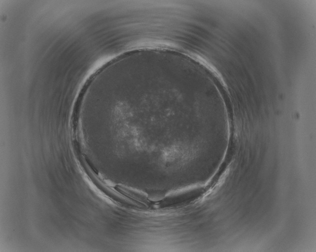 X0000068891037200605122028