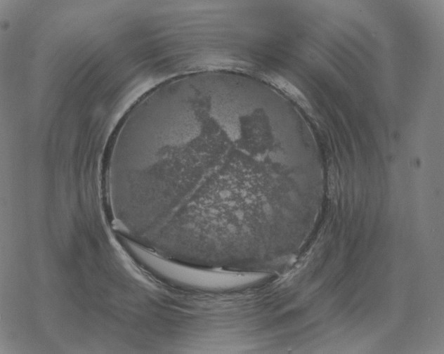 X0000068891039200605122029