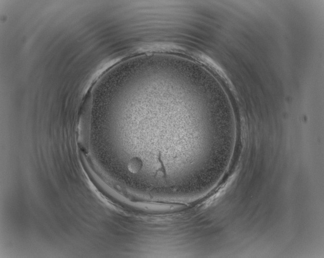 X0000068891041200605122029