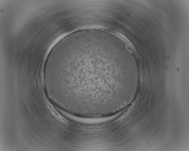 X0000068891044200605122029