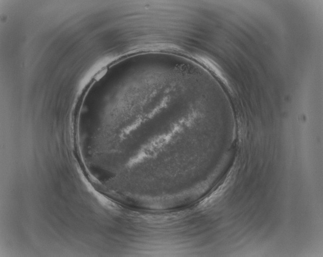 X0000068891046200605122029