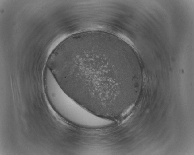 X0000068891047200605122029