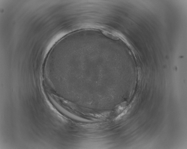 X0000068891048200605122029