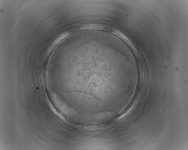 X0000068891049200605122029