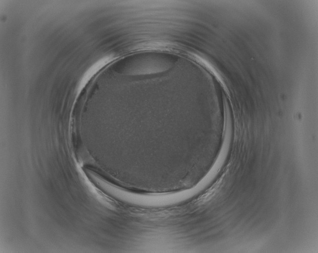 X0000068891050200605122029