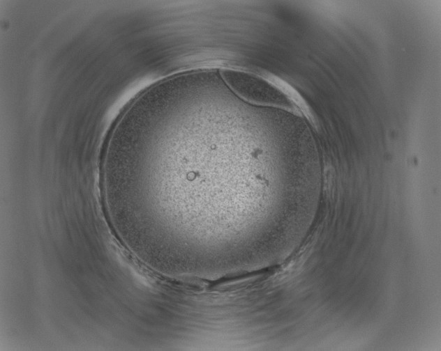 X0000068891051200605122029