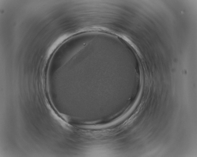 X0000068891054200605122029