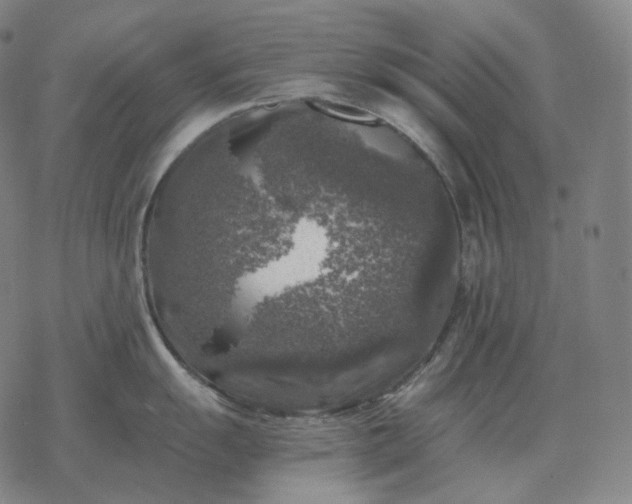 X0000068891055200605122029