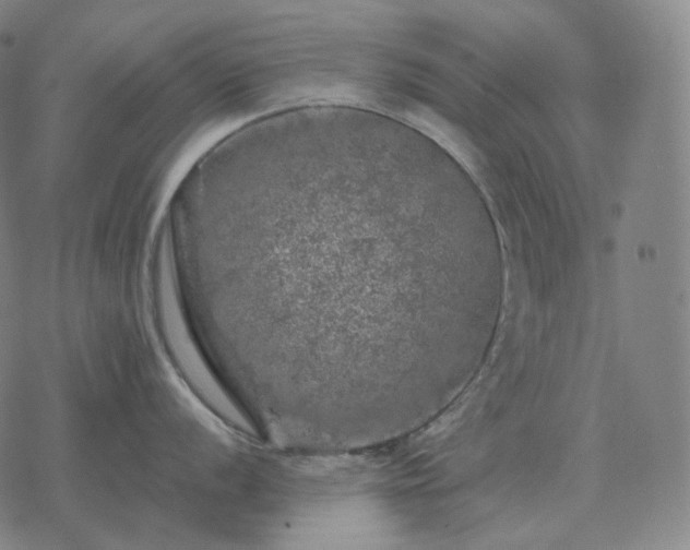 X0000068891056200605122029