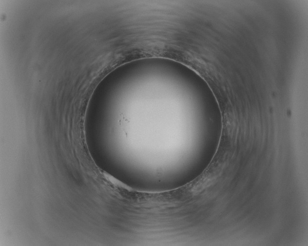 X0000068891057200605122028