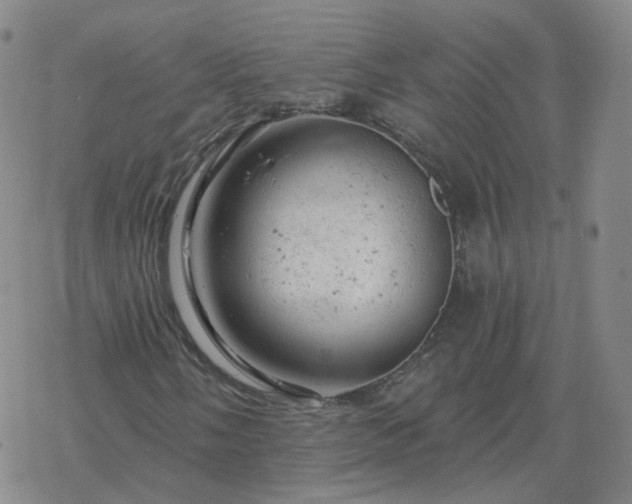 X0000068891058200605122028