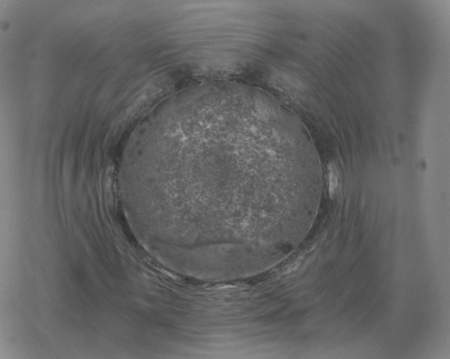 X0000068891059200605122028