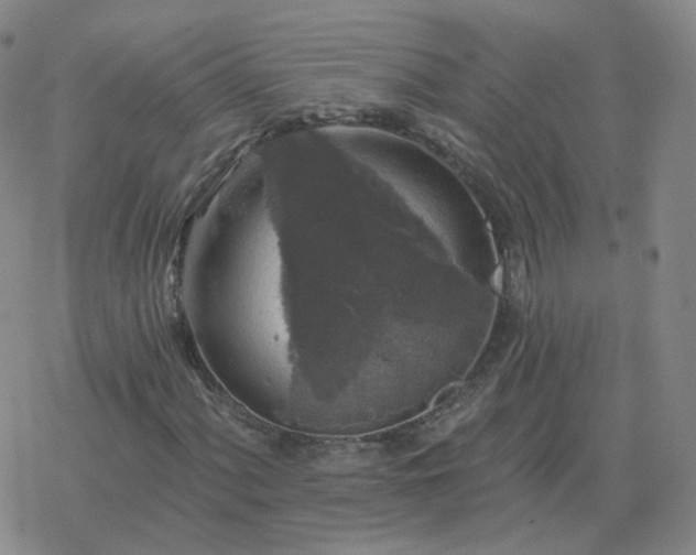 X0000068891060200605122028