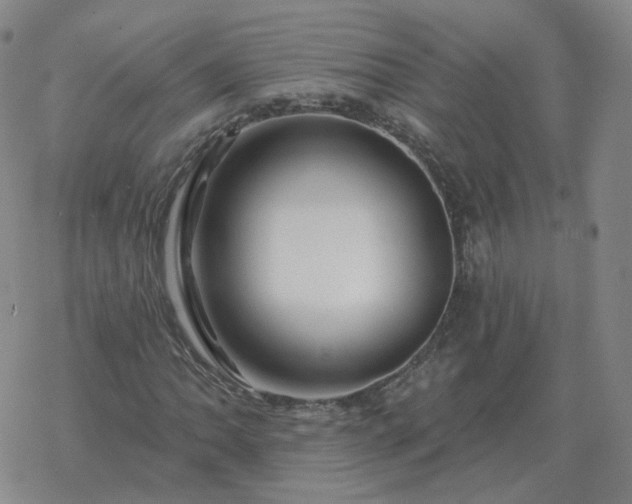 X0000068891062200605122028