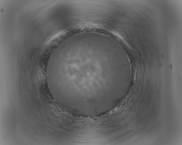 X0000068891063200605122028