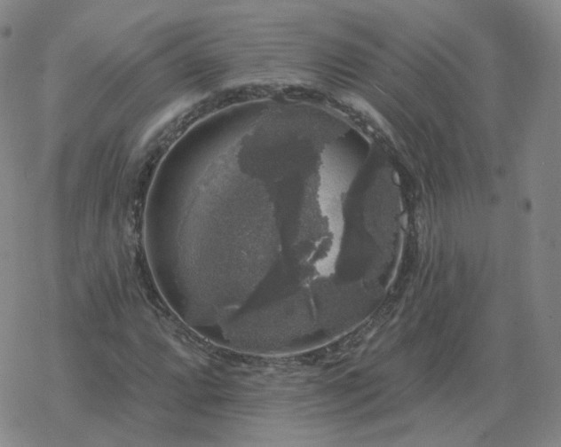 X0000068891064200605122028