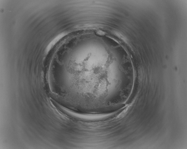 X0000068891066200605122028