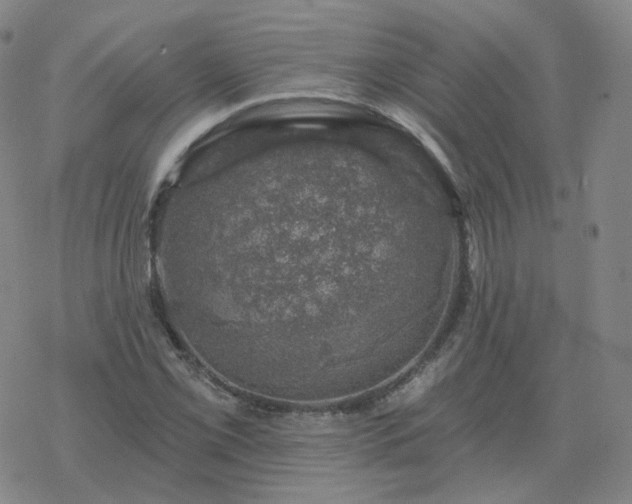 X0000068891069200605122028