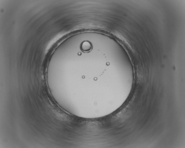 X0000068891070200605122028