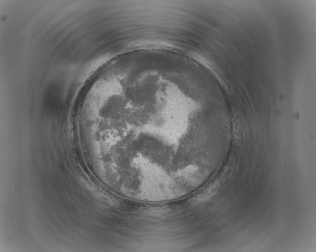 X0000068891074200605122028