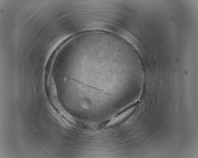 X0000068891076200605122028