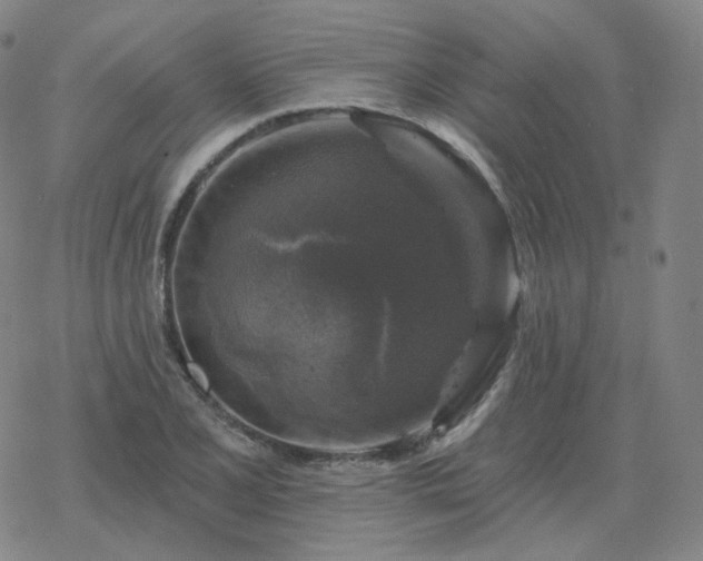 X0000068891077200605122028