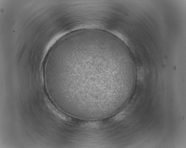 X0000068891078200605122028