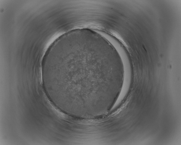 X0000068891079200605122028