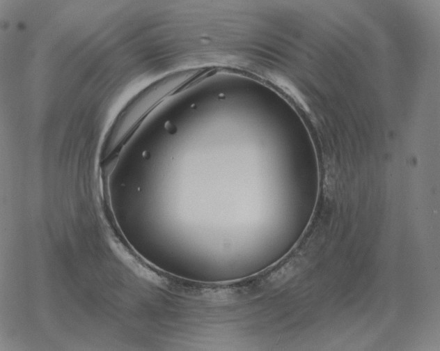 X0000068891080200605122028