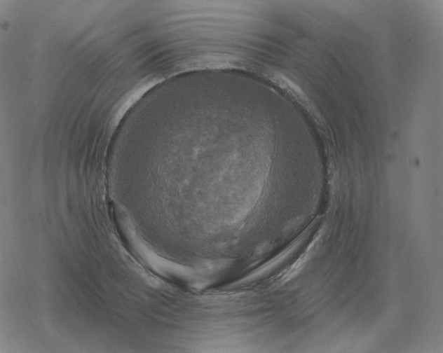 X0000068891081200605122028