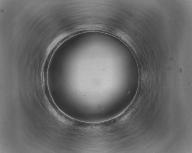 X0000068891082200605122028