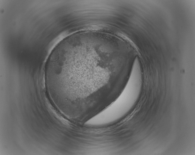 X0000068891083200605122028