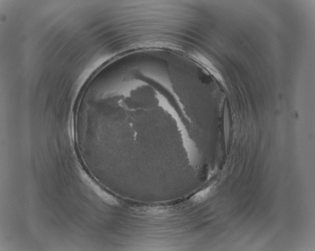 X0000068891084200605122028