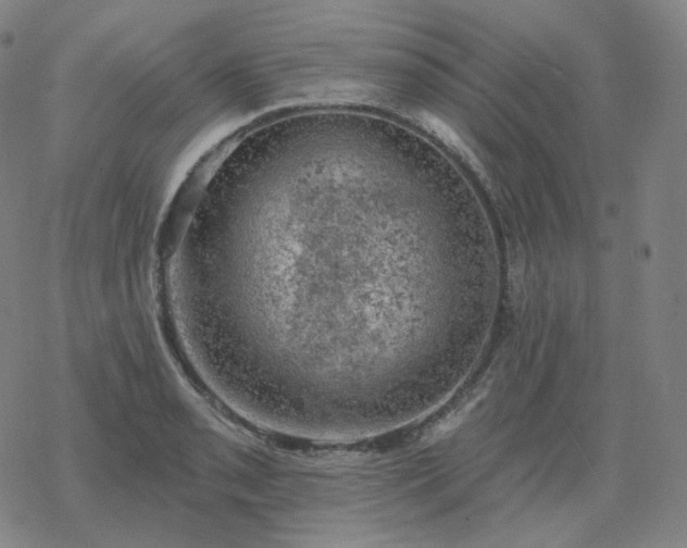 X0000068891085200605122028