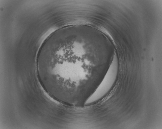 X0000068891087200605122028