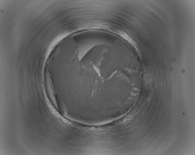 X0000068891088200605122028