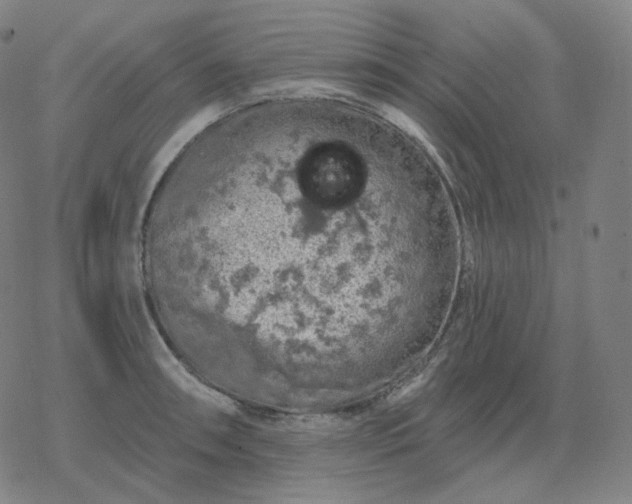 X0000068891090200605122027