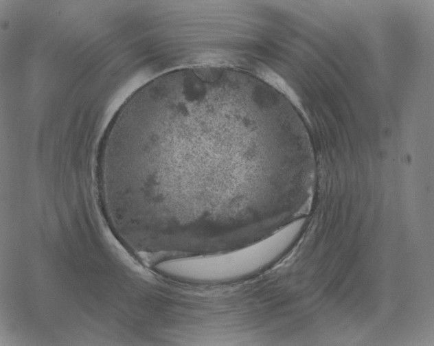 X0000068891091200605122027