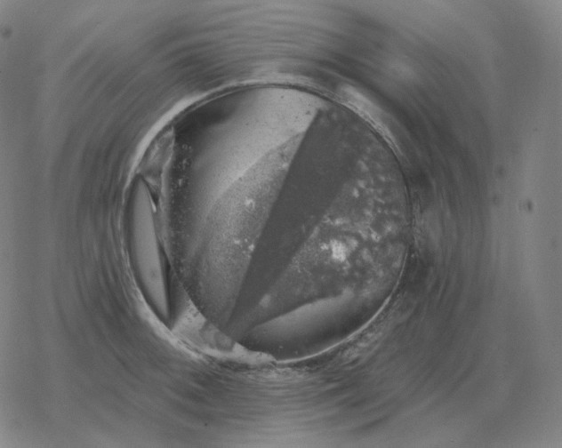 X0000068891092200605122027