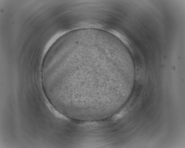 X0000068891094200605122027